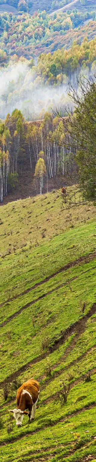 Reise ins rumänische Landleben